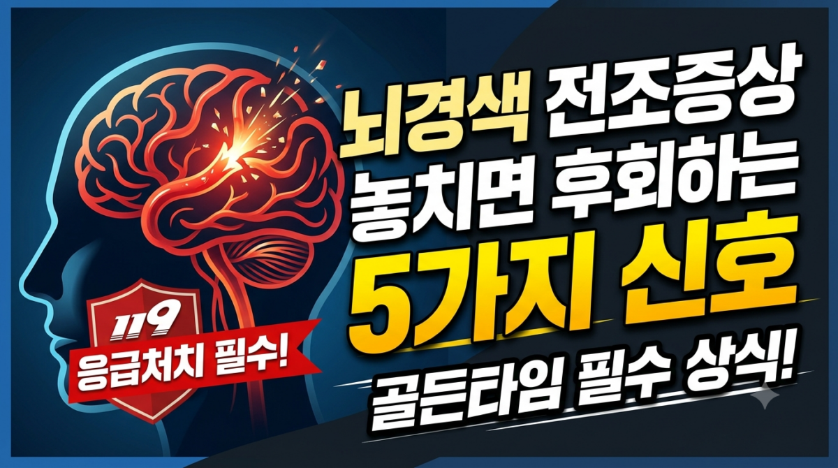 뇌경색,뇌혈관